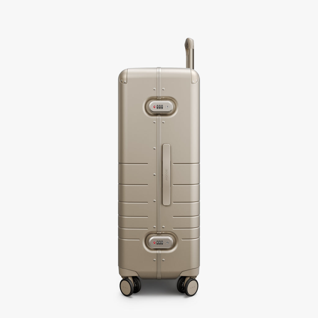 Hybrid Check-In Large