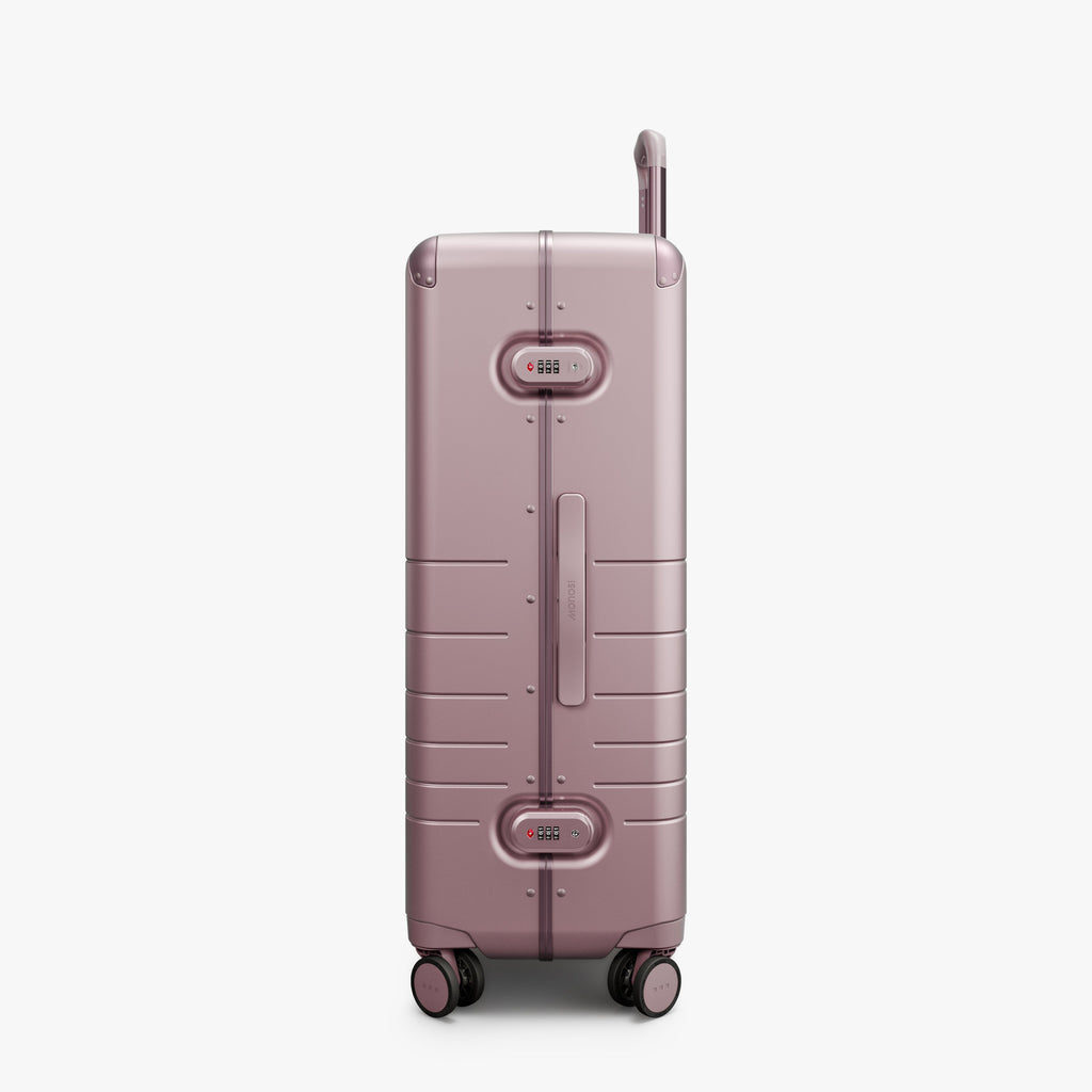 Hybrid Check-In Large
